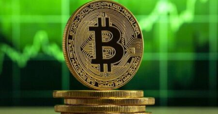 Bitcoin Atinge Novo Máximo de 2024 em US$ 65.646